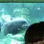 はなはなのプロフィール画像