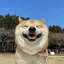 ___2970のプロフィール画像