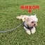 ゆりのプロフィール画像