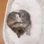 Shizukaのプロフィール画像