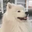 みゆのプロフィール画像