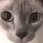るのプロフィール画像