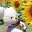 ゆきびぃのプロフィール画像