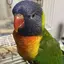 ユヅのプロフィール画像