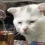 ちなのプロフィール画像