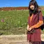 たたたのプロフィール画像