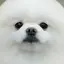 sのプロフィール画像