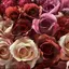 まやのプロフィール画像
