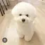 yurikoのプロフィール画像