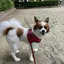 Anriのプロフィール画像