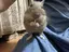 Manamiのプロフィール画像