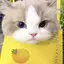 。のプロフィール画像