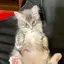 友希のプロフィール画像