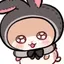 ねこぜのプロフィール画像
