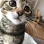 mのプロフィール画像