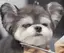 あすみのプロフィール画像