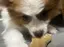 栞のプロフィール画像