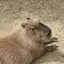 ジュンのプロフィール画像