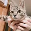 taeのプロフィール画像
