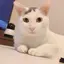 はむはむのプロフィール画像