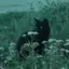 ミナのプロフィール画像