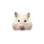 nanaのプロフィール画像