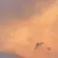 そほのプロフィール画像