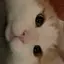愛のプロフィール画像