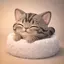 りりのプロフィール画像
