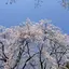 さのプロフィール画像