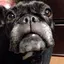 ウブのプロフィール画像