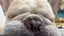 ひまのプロフィール画像