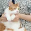 めがねのプロフィール画像