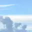 chimchimのプロフィール画像