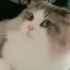 あおいのプロフィール画像