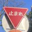 塩のプロフィール画像