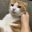 ゆのプロフィール画像