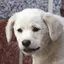 みいのプロフィール画像