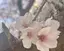らこのプロフィール画像