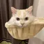 まこのプロフィール画像