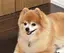 りーのプロフィール画像