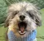 Annieのプロフィール画像