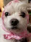 ゆっぱのプロフィール画像