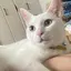 sanのプロフィール画像