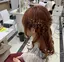 みーちゃんのプロフィール画像