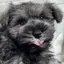 ユウカのプロフィール画像