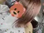 hinaのプロフィール画像