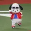 ちゃちゃまる。のプロフィール画像