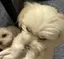 kayoのプロフィール画像