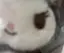 🌷のプロフィール画像